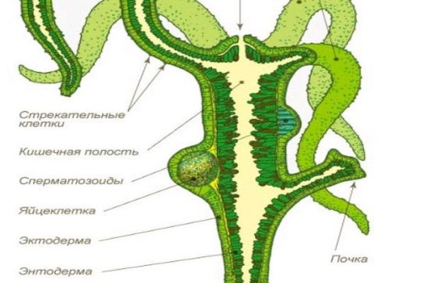 Кракен сайт 13at